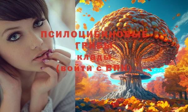 мяу мяу мука Верхний Тагил